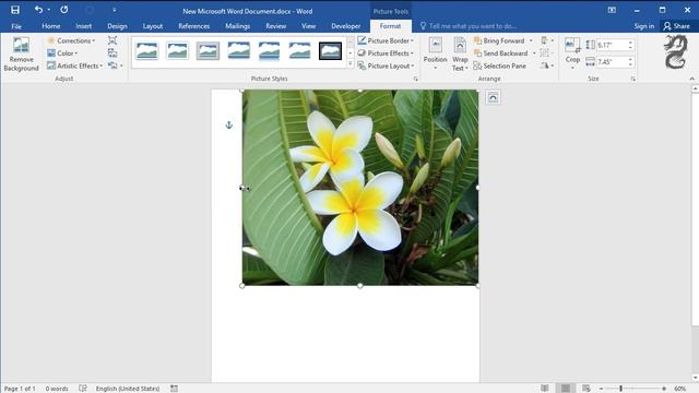 How to make an image fill the entire page in Word Using full size of page for an image смотреть онлайн