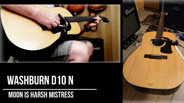 Washburn D10 N ...
