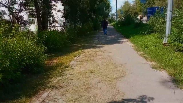 СУТКИ ЖИВУ КАК СТИВЕН КИНГ😎/День без кофе, прогулка ранним утром и много свободного времени📚 смотреть онлайн