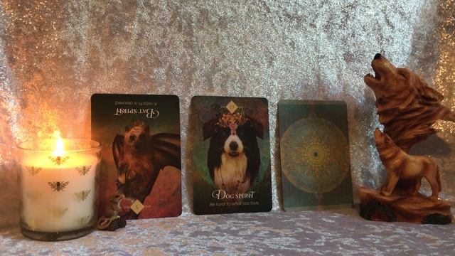 Weekly Oracle Reading~Animal Spirit Messages смотреть онлайн