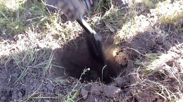 #ВеселыйКамрад КОП НА ОГОРОДАХ ИЛИ ПРОСТО ПРОБКА! смотреть онлайн