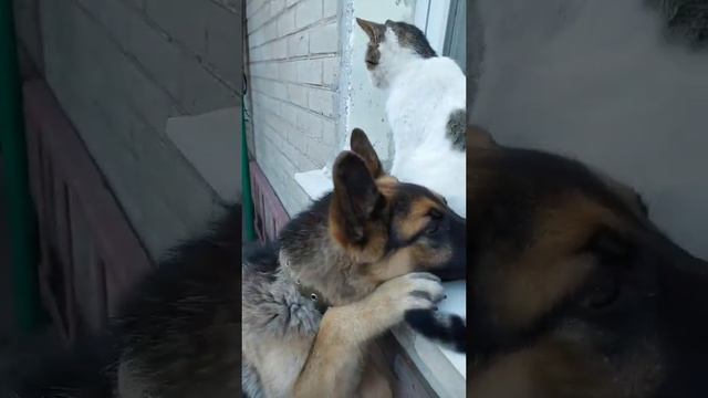 Я и мой любимый друг #ВЕО