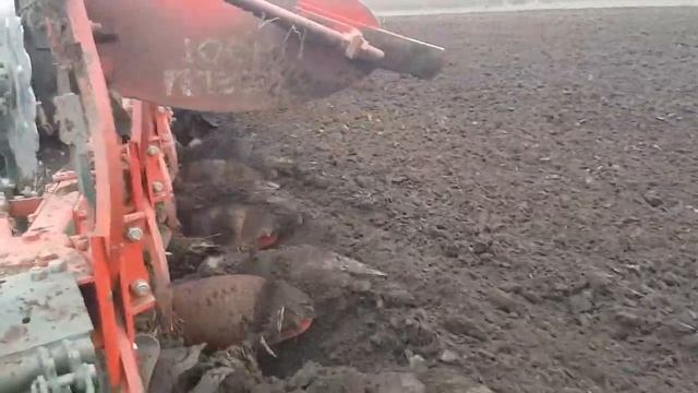 MTZ / BELARUS 1523.3 / Vogel & Nooth / Oranje / Plowing / Jesen 2020 смотреть онлайн