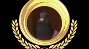 МТС #Голубеграм