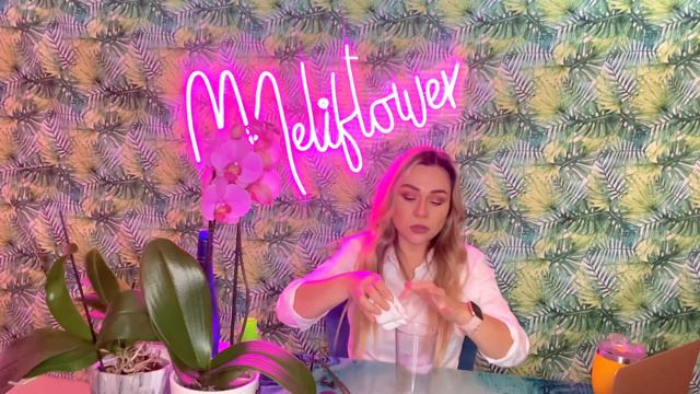 Cómo Cuidar Una Orquídea 🌸🌺