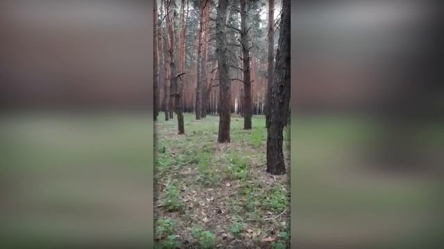 СДАВАЙСЯ, ХОХОЛ! ТУТ АХМАТ - СИЛА! смотреть онлайн