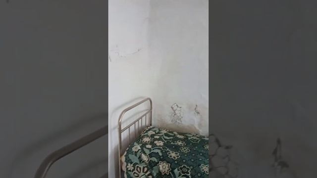 Продается дом в д. Большое Шумаков о смотреть онлайн