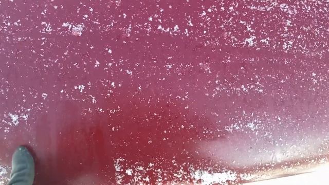 Audi 80 B3 winter beeter cold start -16 смотреть онлайн