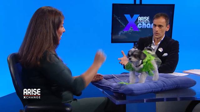 Dana Humphrey, The Pet Lady on Arise Xchange TV on October 30th for the Business of Pet Halloween смотреть онлайн