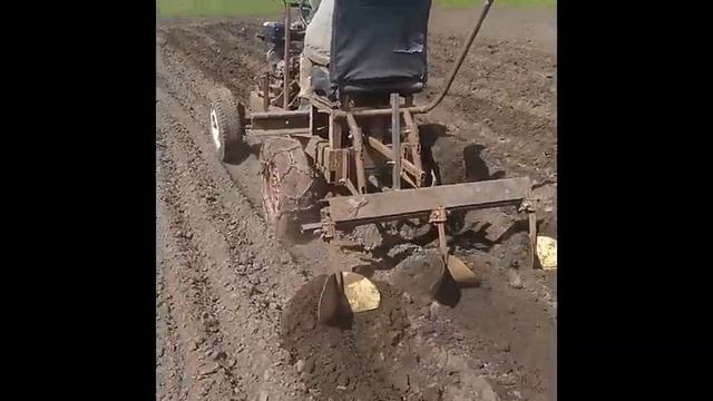Простой способ посадки и засыпания картофеля самодельным мини-трактором. смотреть онлайн