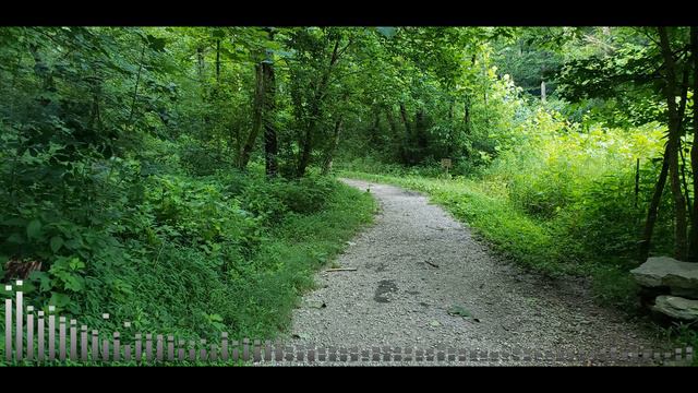 Burden- Aesthetic || Chris Dudley Lo-Fi Style Beat смотреть онлайн