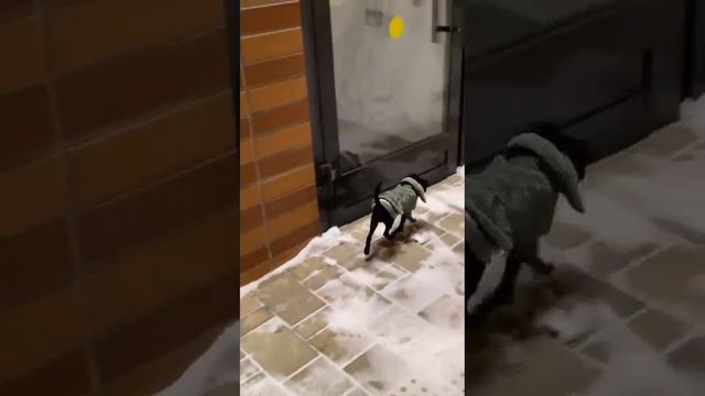 Мужик сказал - мужик сделал ! Есть команда - пись, пись ,пись !))