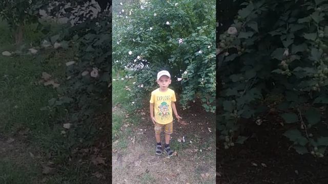 Штрахов Максим - На лугу растут цветы смотреть онлайн