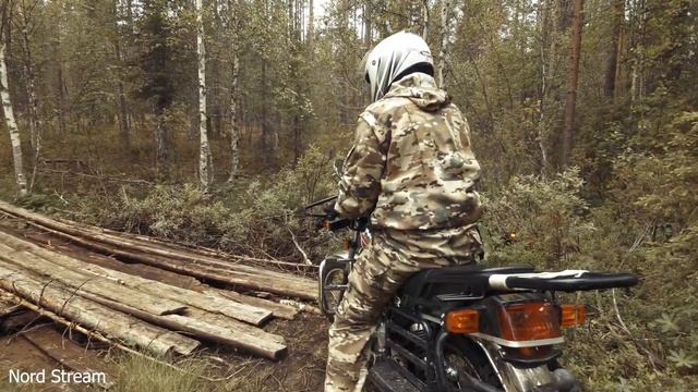 Прохват на мотоцикле Десна кантри 200 по лесу. смотреть онлайн