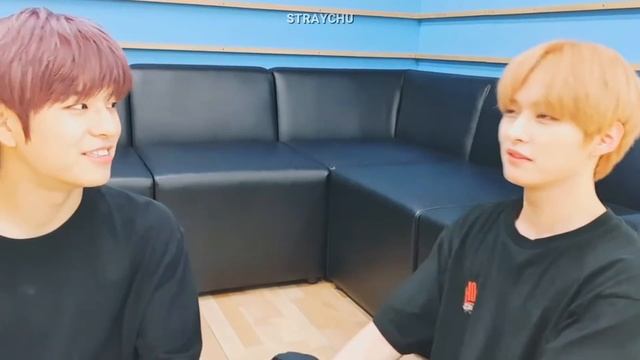 don't put seungmin and minho in the same room смотреть онлайн