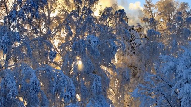 _Прелюдия до диез минор,соч 3 №2 С.В.Рахманинов смотреть онлайн