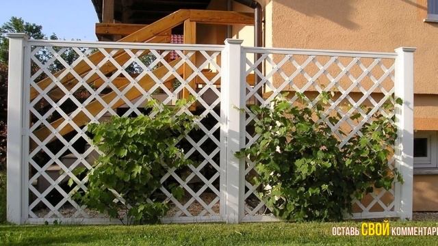 КРАСИВЫЕ ШПАЛЕРЫ В САДУ И НА ДАЧЕ МОЯ ДАЧА /BEAUTIFUL TRELLISES IN THE GARDEN AND IN THE COUNTRY/ смотреть онлайн