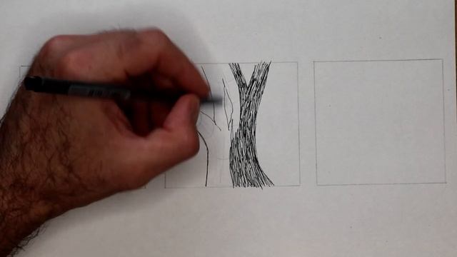 Draw Tree Bark, How To Draw Tree Bark