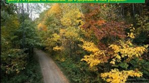 Окружающий мир  1 класс  Почему в лесу мы будем соблюдать тишину