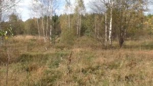 Деревня в лесу. Заброшенная деревня на севере Нижегородской области. Люди ушли навсегда.