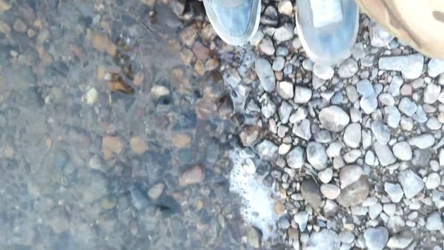 Вечер на реке Томь смотреть онлайн