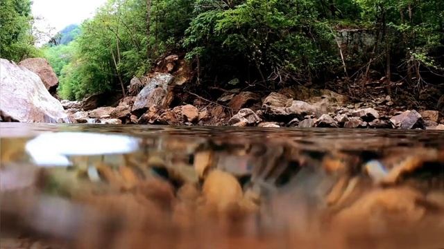 История из жизни. Неожиданное предательство. смотреть онлайн