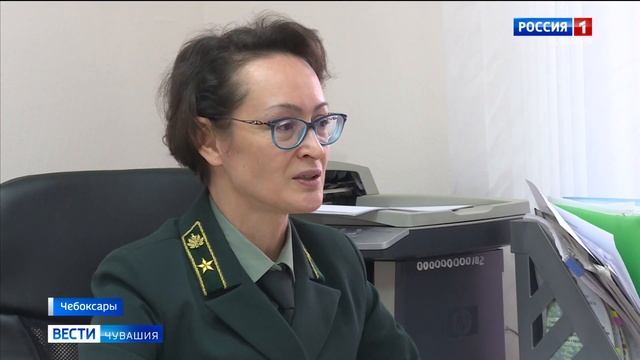 В Чувашии определили места, где можно заготовить древесину в 2020 году смотреть онлайн