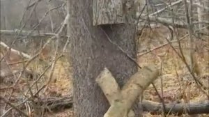 ОХОТА в верховьях реки Косьва (Пермский край) Туры на охоту и рыбалку