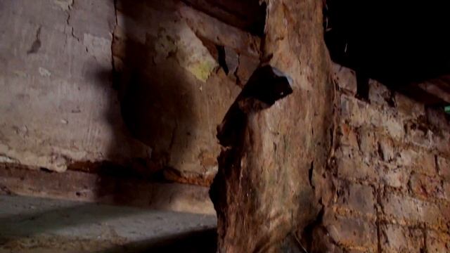 ОБЫЧНЫЙ ДЕНЬ НАШЕЛ ЗАБРОШКИ И ТРУП смотреть онлайн