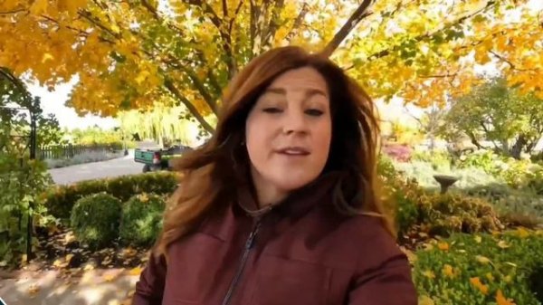 Garden Answer -Exposed