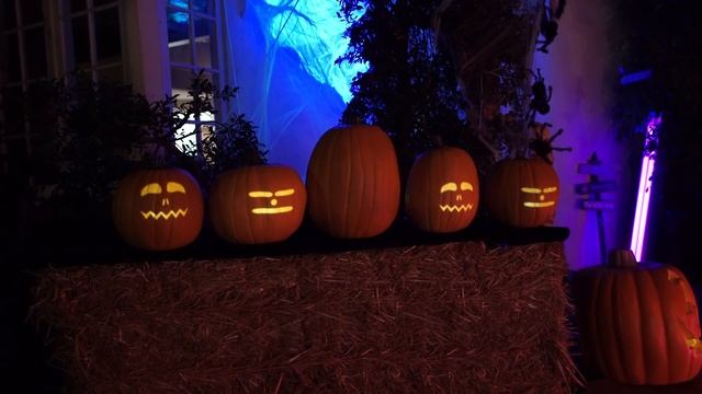 Mesmerizing 5 Pumpkin Singing Display - Must See Halloween Special! смотреть онлайн