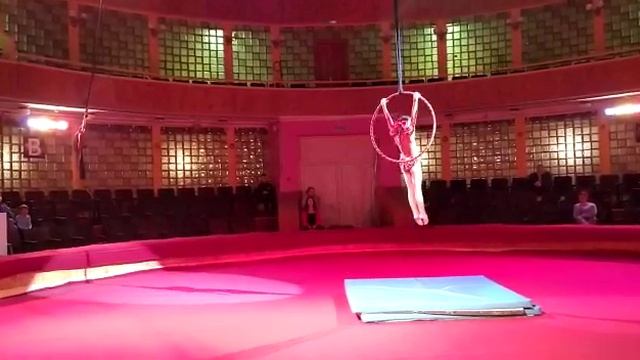 цирковая студия 