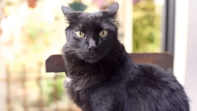 Матери и сестре плохо - способ шантажа смотреть онлайн