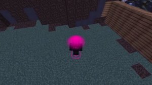 Новые Бесплатные визуалы Minecraft 1.16.5  ??