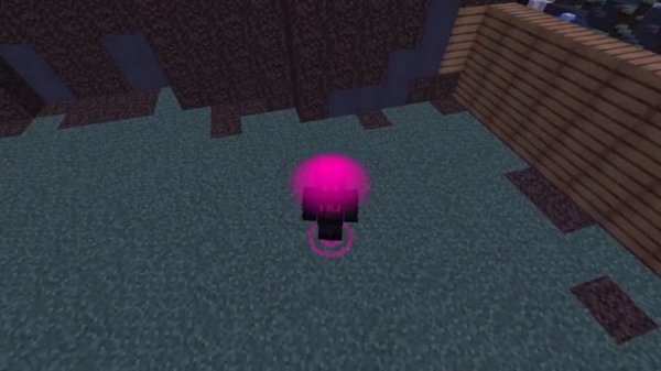 Новые Бесплатные визуалы Minecraft 1.16.5  ??