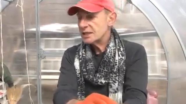 Подготовка теплицы весной.Сергей Богатский:3 минуты о загородной жизни. смотреть онлайн