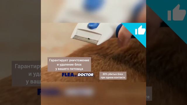Электрическая расческа для удаления блох смотреть онлайн