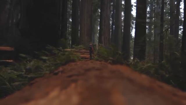 Это уникальное место смогли найти с помощью Google Maps