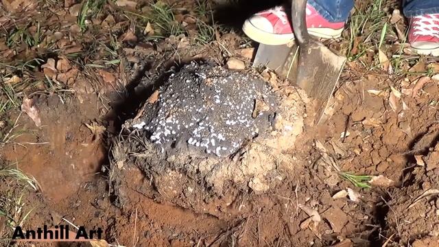 Casting Another Fire Ant Colony with Molten Aluminum (Cast #061) смотреть онлайн