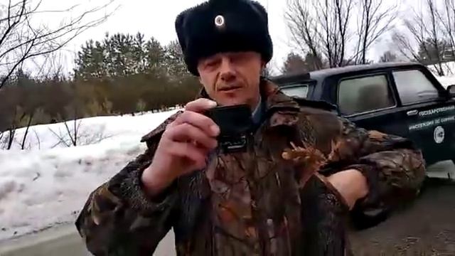 Мертвый лосенок на дороге в Самарской Луке смотреть онлайн