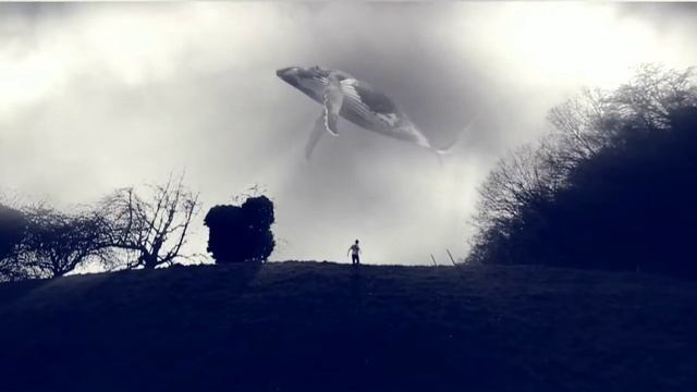 Шок киты плавают по небу!!!! смотреть онлайн