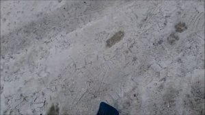 снегоход без управляемых лыж – «Ларвен»