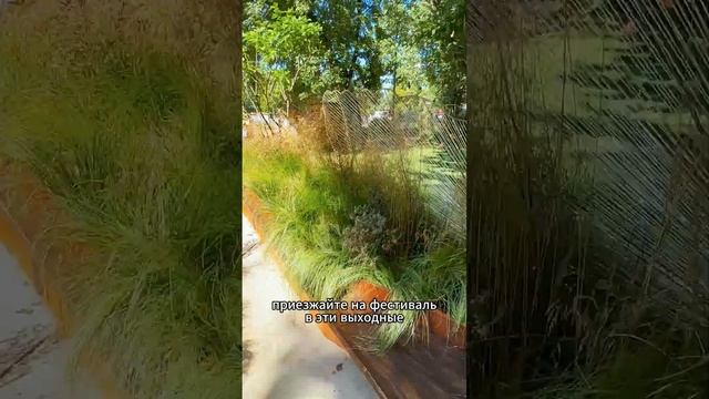 Фестиваль "Сады и Люди" ? смотреть онлайн