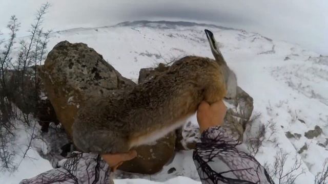 Тропление зайца смотреть онлайн