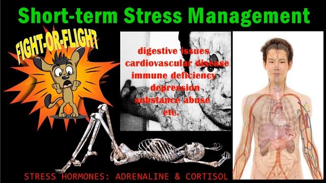 What Is Your Stress Story? смотреть онлайн