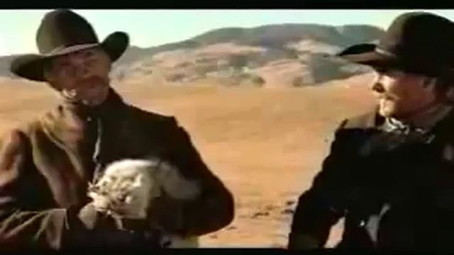 EDS Cat Herder смотреть онлайн