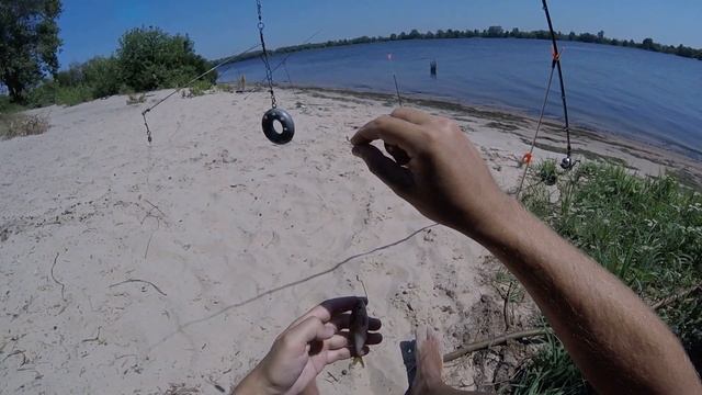 Рыба На Ходу