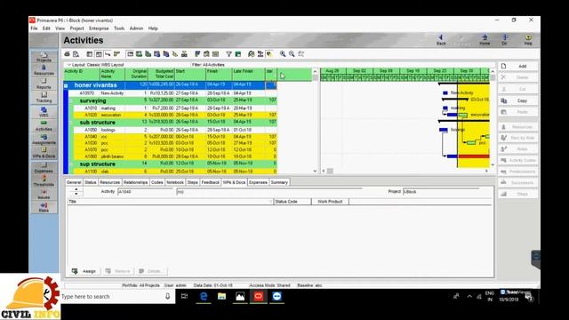 PRIMAVERA P6 Threshold, Issues & Risk смотреть онлайн