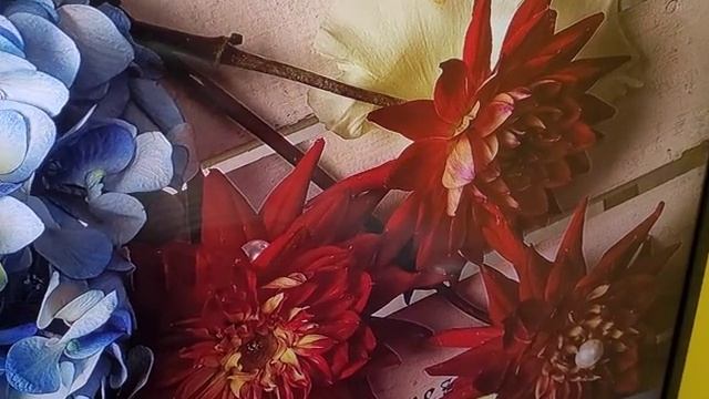 Видео №548522 смотреть онлайн