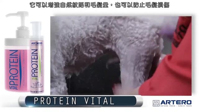 Artero Protein Vital